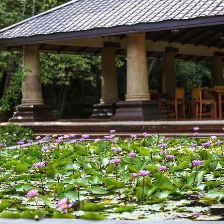 Kaveri Ayurveda Resort Sigiriya Dış mekan fotoğraf