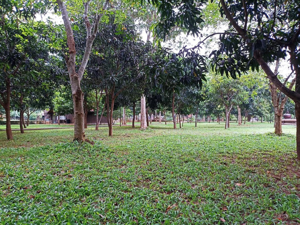 Kaveri Ayurveda Resort Sigiriya Dış mekan fotoğraf