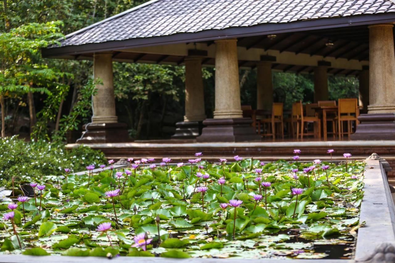 Kaveri Ayurveda Resort Sigiriya Dış mekan fotoğraf