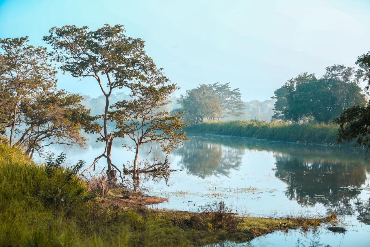 Kaveri Ayurveda Resort Sigiriya Dış mekan fotoğraf