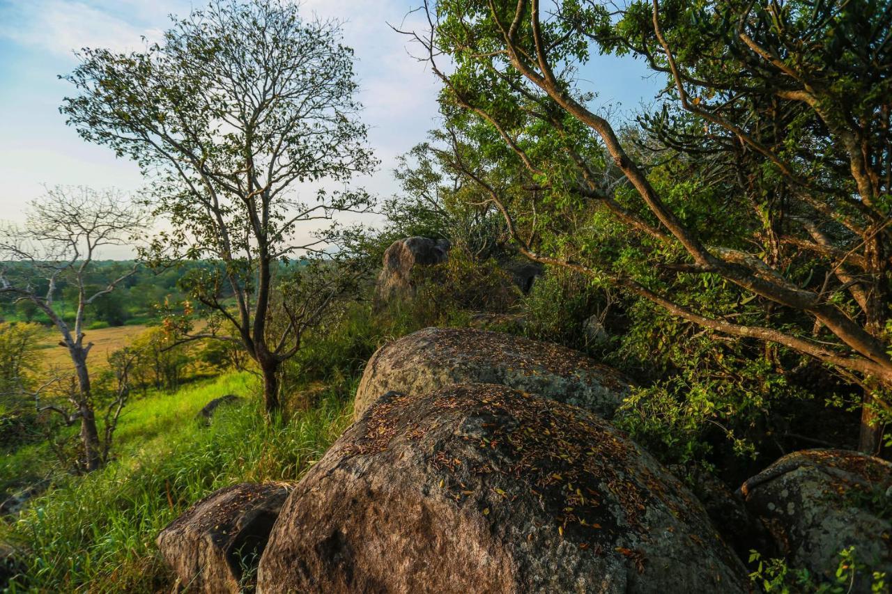 Kaveri Ayurveda Resort Sigiriya Dış mekan fotoğraf