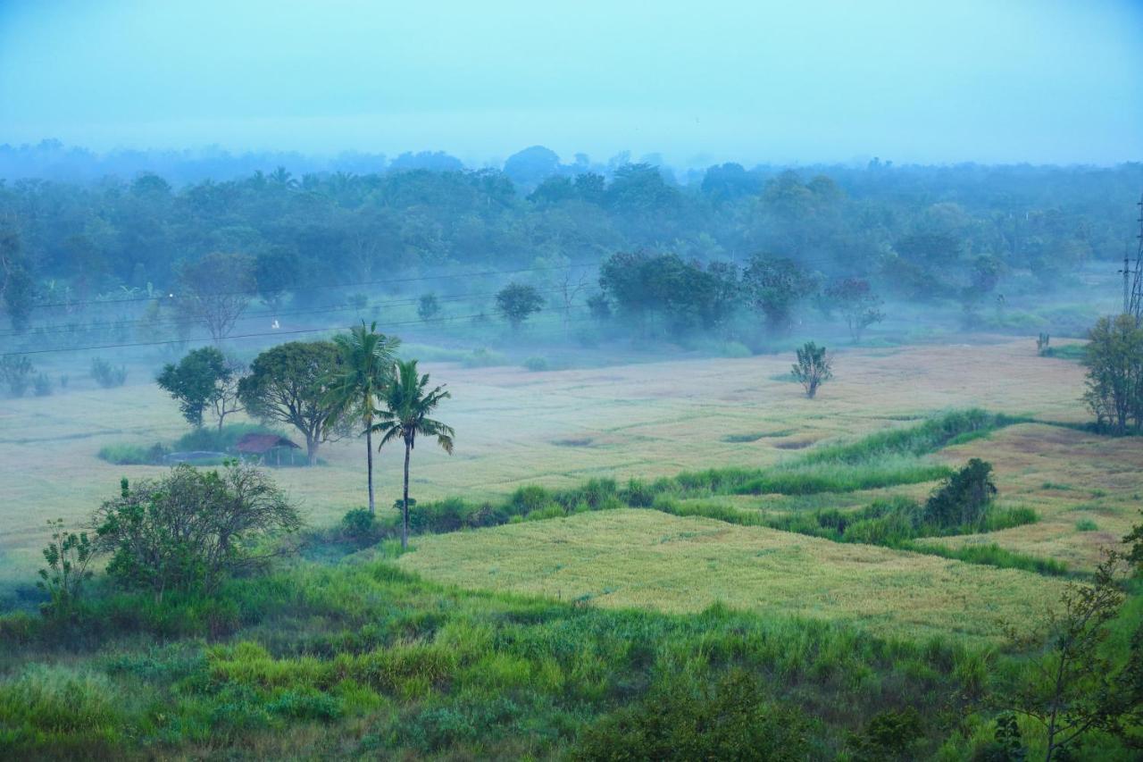 Kaveri Ayurveda Resort Sigiriya Dış mekan fotoğraf