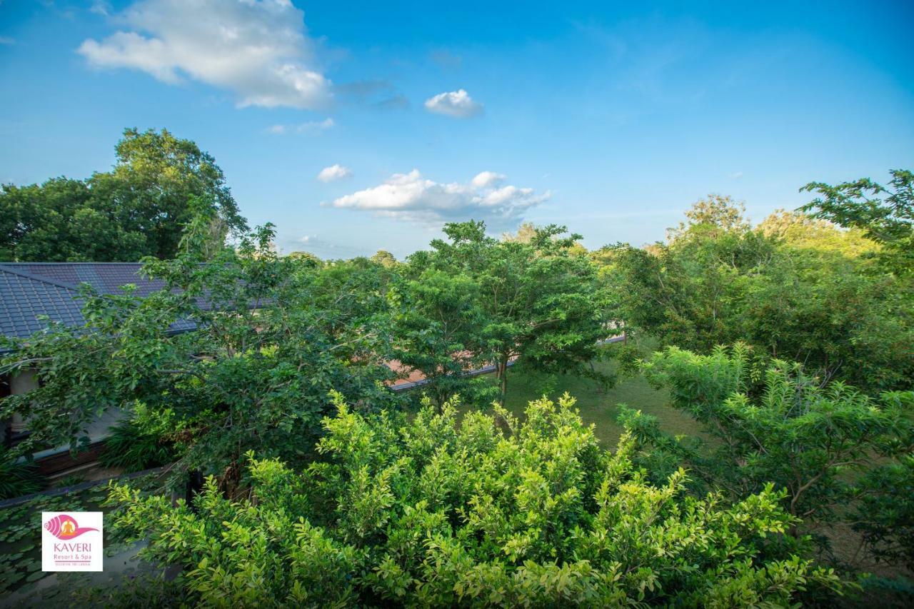 Kaveri Ayurveda Resort Sigiriya Dış mekan fotoğraf