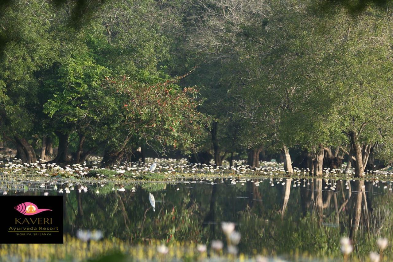 Kaveri Ayurveda Resort Sigiriya Dış mekan fotoğraf